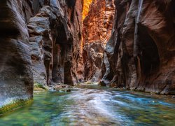 Kanion, Zion Narrows, Rzeka, Virgin, Park Narodowy Zion, Stan Utah, Stany Zjednoczone