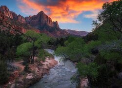 Góra Watchman, Rzeka, Virgin River, Drzewa, Chmury, Park Narodowy Zion, Utah, Stany Zjednoczone