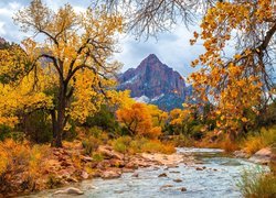 Park Narodowy Zion, Góra Watchman, Rzeka, Virgin River, Kamienie, Drzewa, Jesień, Stan Utah, Stany Zjednoczone