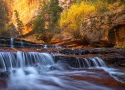 Stany Zjednoczone, Stan Utah, Park Narodowy Zion, Kanion Zion Narrows, Skały, Drzewa, Rzeka Virgin River