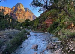 Góry, Rzeka, Virgin, Drzewa, Kamienie, Park Narodowy Zion, Utah, Stany Zjednoczone