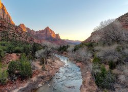 Park Narodowy Zion, Góry Watchman, Drzewa, Rzeka Virgin River, Stan Utah, Stany Zjednoczone