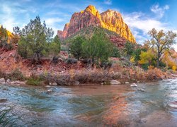 Park Narodowy Zion, Góry Watchman, Drzewa, Skały, Rzeka Virgin River, Kamienie, Stan Utah, Stany Zjednoczone