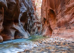 Kanion, Zion Narrows, Rzeka, Virgin River, Park Narodowy Zion, Stan Utah, Stany Zjednoczone