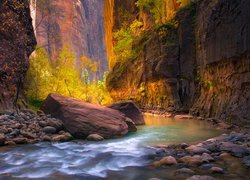 Stany Zjednoczone, Stan Utah, Park Narodowy Zion, Kanion Zion Narrows, Skały, Drzewa, Kamienie, Rzeka Virgin River