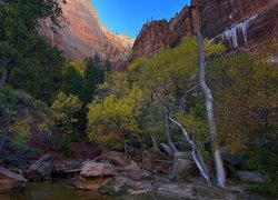 Park Narodowy Zion, Góry, Skały, Rzeka, Virgin River, Drzewa, Utah, Stany Zjednoczone