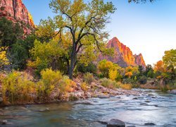 Park Narodowy Zion, Góry Watchman, Drzewa, Rzeka, Kamienie, Virgin River, Stan Utah, Stany Zjednoczone