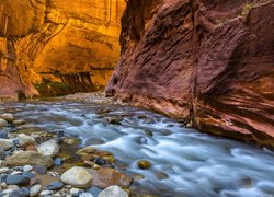 Rzeka Virgin River w kanionie Zion Narrows