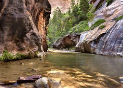 Park Narodowy Zion, Rzeka Virgin River, Kanion Zion Narrows, Skały, Roślinność, Stan Utah, Stany Zjednoczone