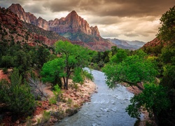 Stany Zjednoczone, Stan Utah, Park Narodowy Zion, Góra Watchman, Rzeka Virgin River, Drzewa, Góry