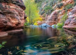 Stany Zjednoczone, Arizona, Sedona, Wąwóz Oak Creek Canyon, Rzeka Oak Creek, Skały, Drzewa