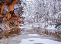 Stany Zjednoczone, Arizona, Sedona, Rzeka Oak Creek, Szlak West Fork Oak Creek Trail, Zima, Skały, Ośnieżone, Drzewa