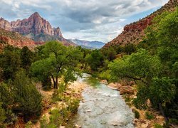 Stany Zjednoczone, Stan Utah, Park Narodowy Zion, Góry, Góra Watchman, Rzeka Virgin River, Drzewa