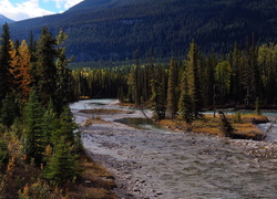 Kanada, Mount Robson Provincial Park, Rzeka, Drzewa, Góry