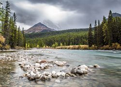 Rzeka w Parku Narodowym Banff