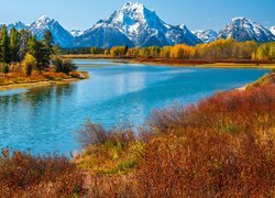 Park Narodowy Grand Teton, Rzeka, Snake River, Góry, Teton Range, Drzewa, Trawy, Jesień, Stan Wyoming, Stany Zjednoczone