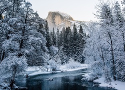 Stany Zjednoczone, Stan Kalifornia, Park Narodowy Yosemite, Zima, Las, Rzeka, Góry