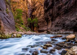 Stany Zjednoczone, Stan Utah, Park Narodowy Zion, Kanion Zion Narrows, Skały, Rzeka Virgin River