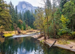 Stany Zjednoczone, Stan Kalifornia, Park Narodowy Yosemite, Las, Rzeka, Góry