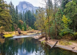 Rzeka w Parku Narodowym Yosemite