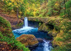 Rzeka, Rezerwat przyrody, Columbia River Gorge, Drzewa, Krzewy, Skały, Jesień, Oregon, Stany Zjednoczone