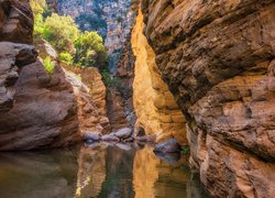 Skały, Rzeka, West Clear Creek, Krzewy, Kanion, Arizona, Stany Zjednoczone