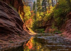 West Fork Oak Creek, Sedona, Arizona, Stany Zjednoczone, Jesień, Drzewa, Rzeka, Skały