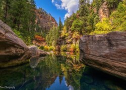 Stany Zjednoczone, Arizona, Sedona, Skały, Wąwóz, Rzeka, West Fork of Oak Creek, Drzewa, Odbicie