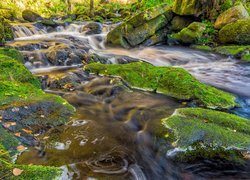 Rzeka Wharfe w angielskim hrabstwie Yorkshire