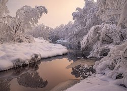 Zima, Śnieg, Rzeka, Drzewa, Rośliny, Odbicie