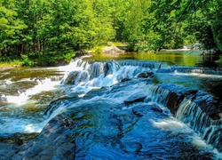 Rzeka z małym wodospadem w letnim lesie