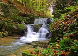 Rzeka z wodospadem na skałach w jesiennym lesie
