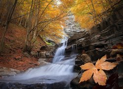 Rzeka ze skalnym wodospadem w jesiennym lesie