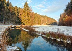 Rzeka pośród ośnieżonych traw i drzewa w tle