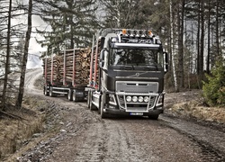Samochód ciężarowy Volvo FH 16 z załadunkiem drewna