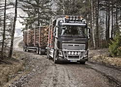 Ciężarówka, Volvo FH 16 250, Droga, Las