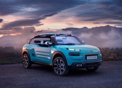 Samochód Citroen Cactus M Concept rocznik 2015