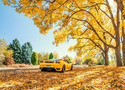 Jesień, Drzewa, Liście, Żółty, Samochód, Ferrari F 430