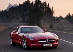 Samochód Mercedes-Benz SLS AMG