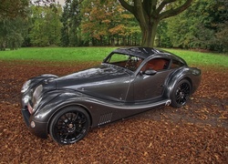 Morgan Aero 8, Park, Liście