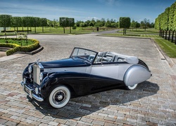 Samochód Rolls-Royce Silver Dawn rocznik 1952 w parku