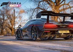 Forza Horizon 4, Samochód, Wyścigowy
