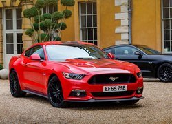 Czerwony, Czarny, Ford Mustang