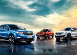 Skoda Kodiaq, Skoda Karoq, Skoda Kamiq