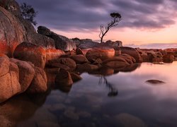 Australia, Tasmania, Binalong Bay, Morze, Skały, Głazy, Drzewo, Wschód słońca, Chmury