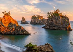 Morze, Skały, Drzewa, Park stanowy, Samuel H Boardman State Scenic Corridor, Oregon, Stany Zjednoczone