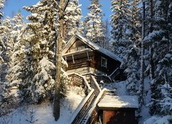 Schody do drewnianego domu na wzgórzu w zaśnieżonym lesie