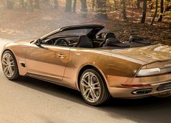 Sciadipersia Cabriolet, Carrozzeria Touring Superleggera