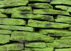Ściana z zielonych kamieni