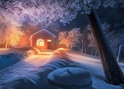 Ścieżka do oświetlonego domu i zaśnieżone drzewa